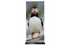 Roll-up Łezka Czarna<span> już od 390 zł</span>
